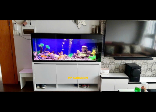 Tủ Hồ Cá TH15