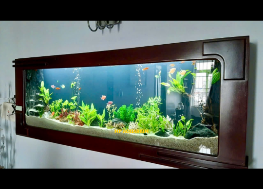 Bể Treo Tường TT08